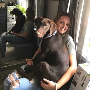 Meet your Posher, Caitie